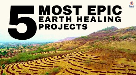 Epic Earth Healing Projects
